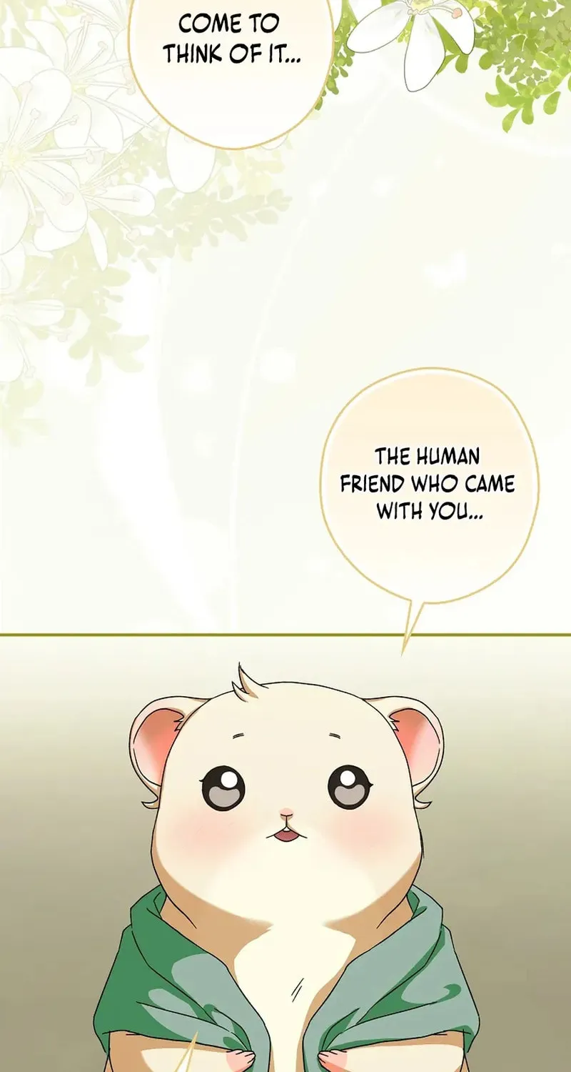 This Wild Mouse Has Taken Cinderella Chapter 7 page 41 - 