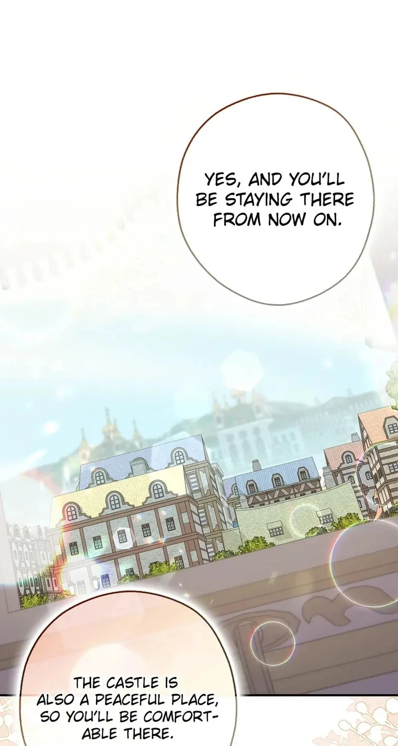 This Wild Mouse Has Taken Cinderella Chapter 8 page 13 - 