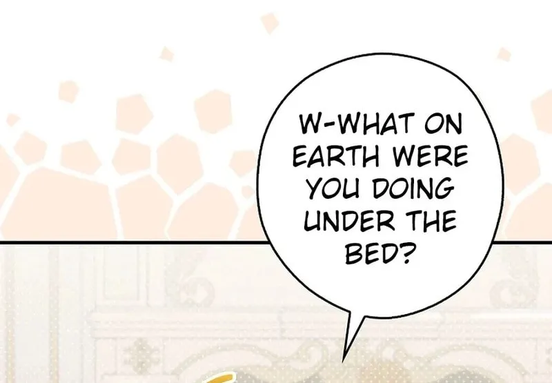 This Wild Mouse Has Taken Cinderella Chapter 9 page 12 - 