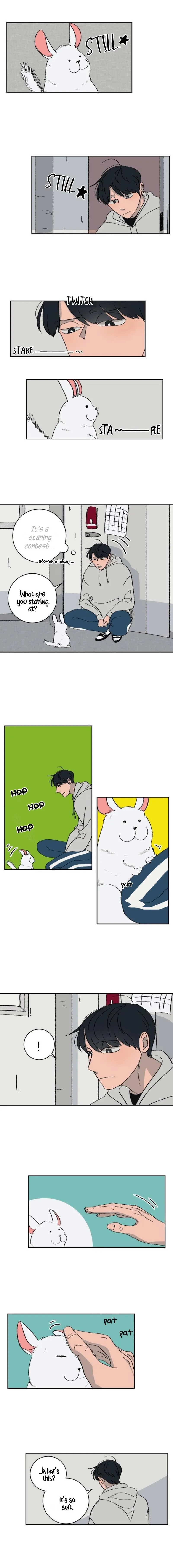Three Men, One Chinchilla Chapter 1 page 4 - 