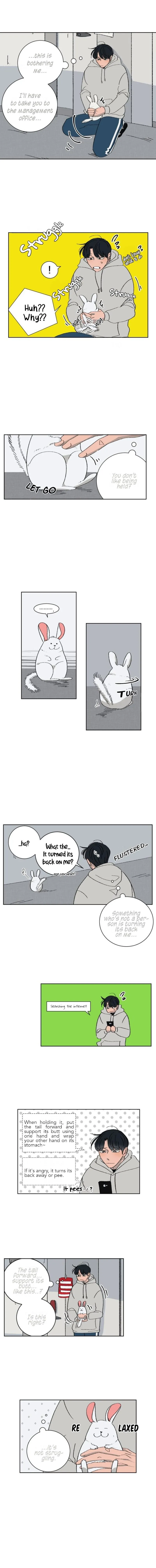 Three Men, One Chinchilla Chapter 1 page 5 - 