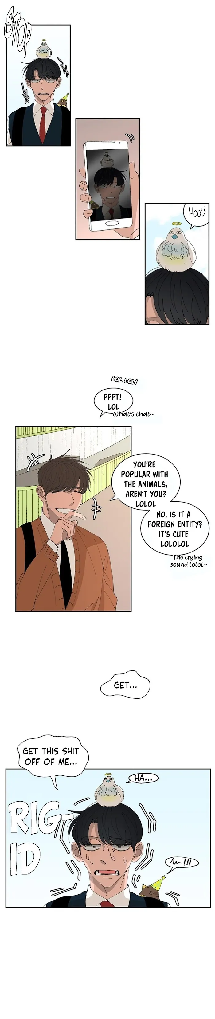 Three Men, One Chinchilla Chapter 15 page 13 - 