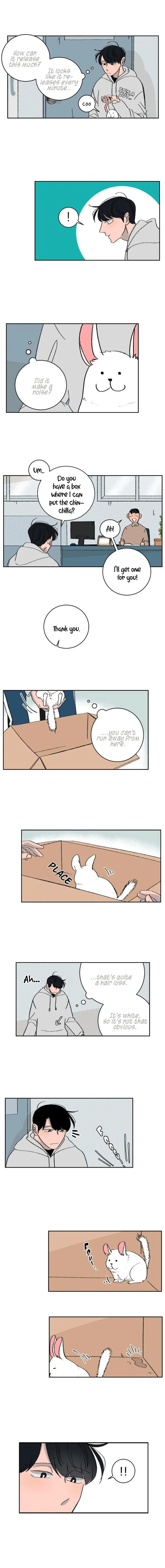 Three Men, One Chinchilla Chapter 2 page 1 - 
