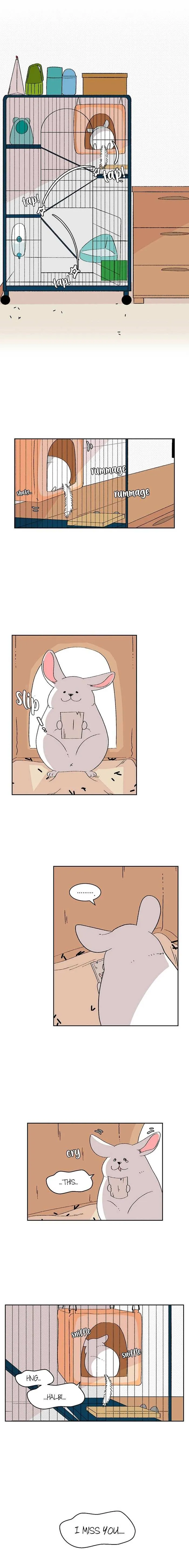 Three Men, One Chinchilla Chapter 25 page 5 - 