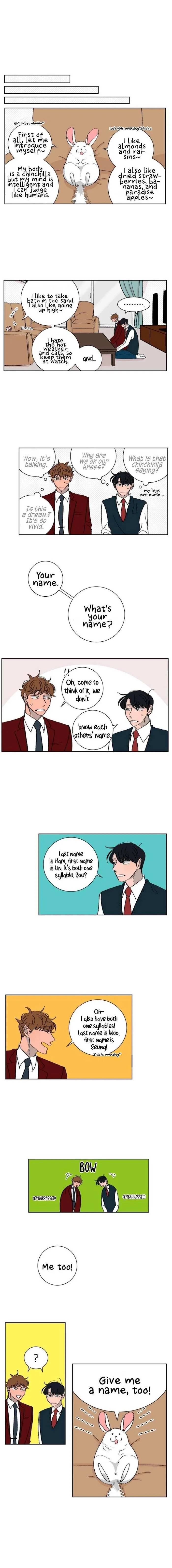 Three Men, One Chinchilla Chapter 4 page 6 - 