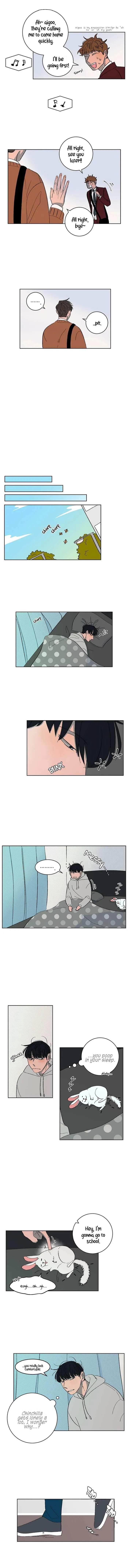 Three Men, One Chinchilla Chapter 6 page 5 - 