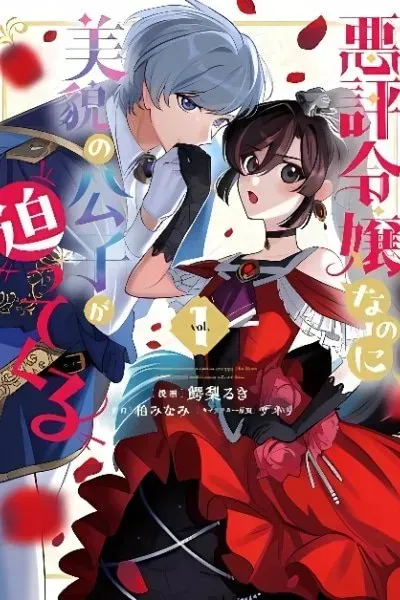 Akuhyou Reijou Nanoni, Bibou no Koushi ga Semattekuru