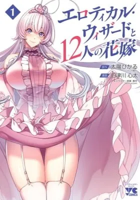 Erotical Wizard to 12-nin no Hanayome manga cover