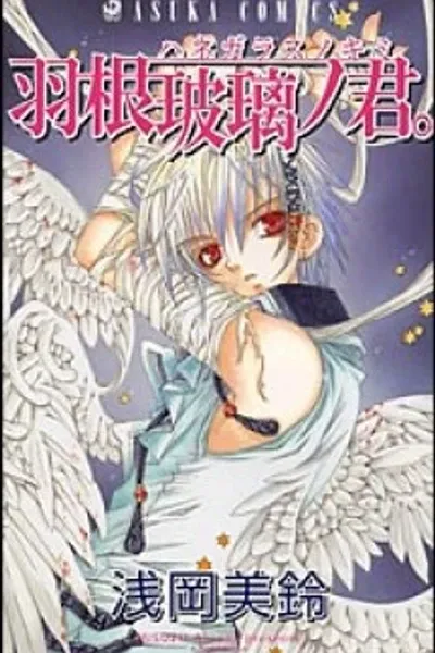 Glass Wings