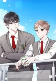 High School Return of a Gangster