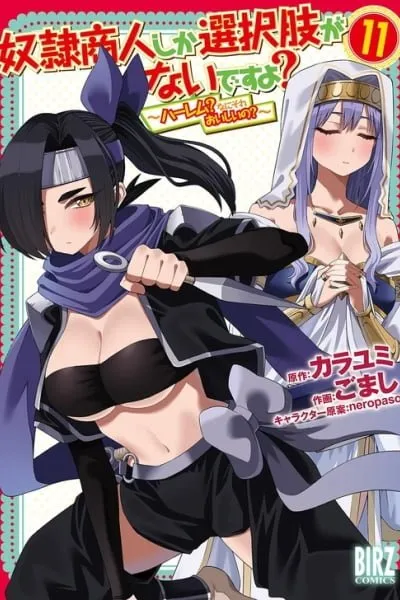Is the Only Option a Slave Merchant?: Harem? What is that, is It Tasty