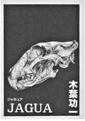 Jaguar