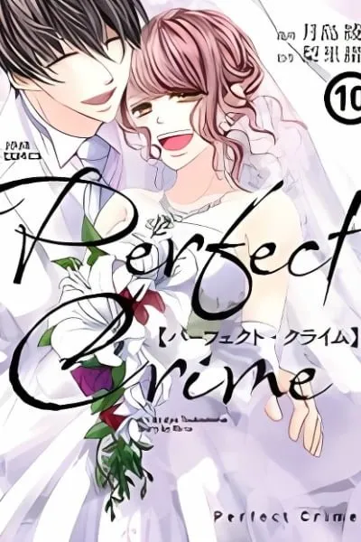Perfect Crime