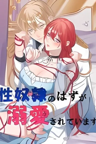 Seidorei no Hazu ga Dekiaisareteimasu