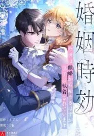 The Marriage Statute Has Expired — I Intended to Begin This Life With a Divorce, But the Prince Clings to Me