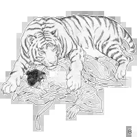 The Tiger Groom