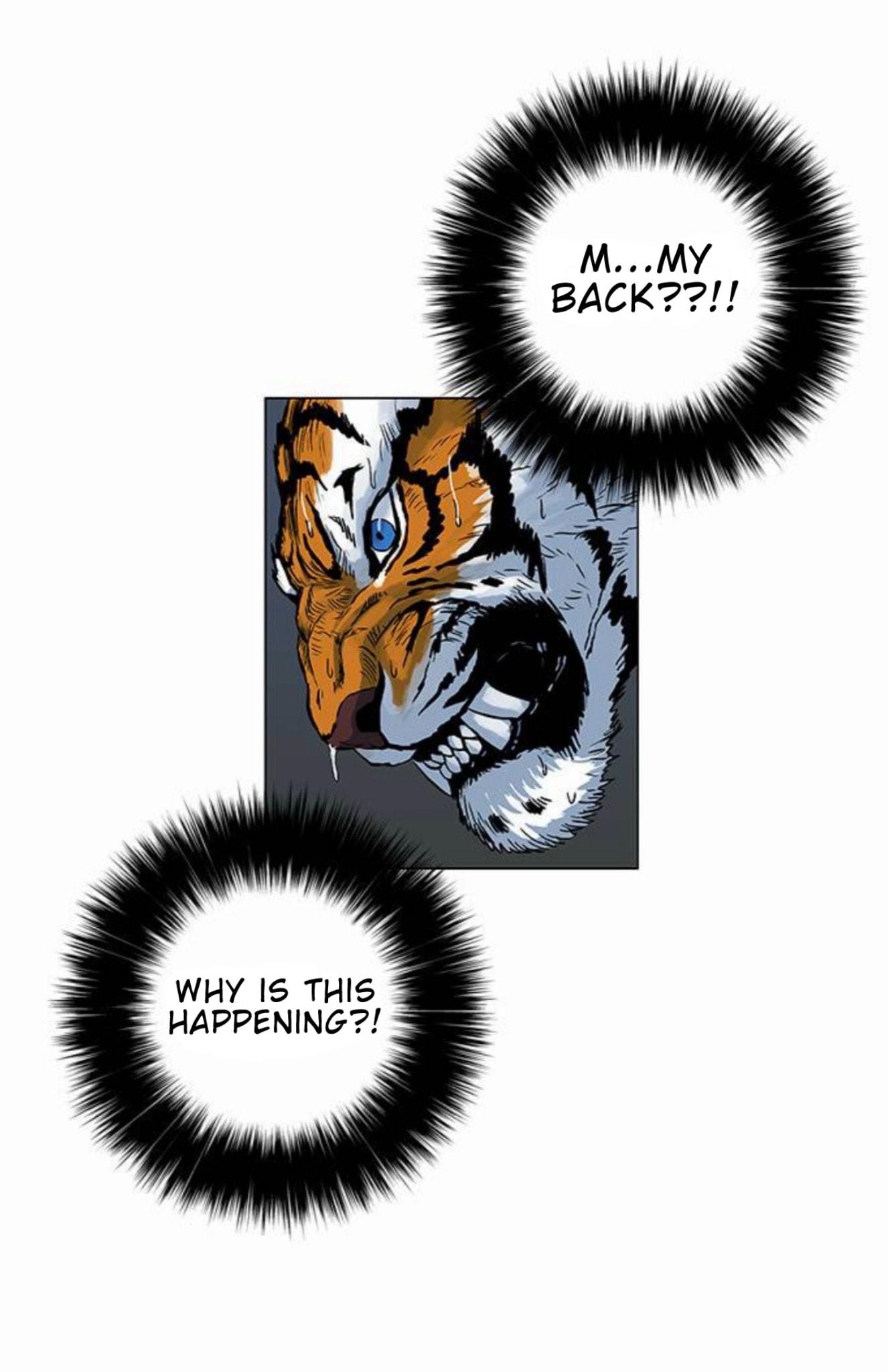 Tiger Brother - Barkhan Chapter 52 page 36 - 