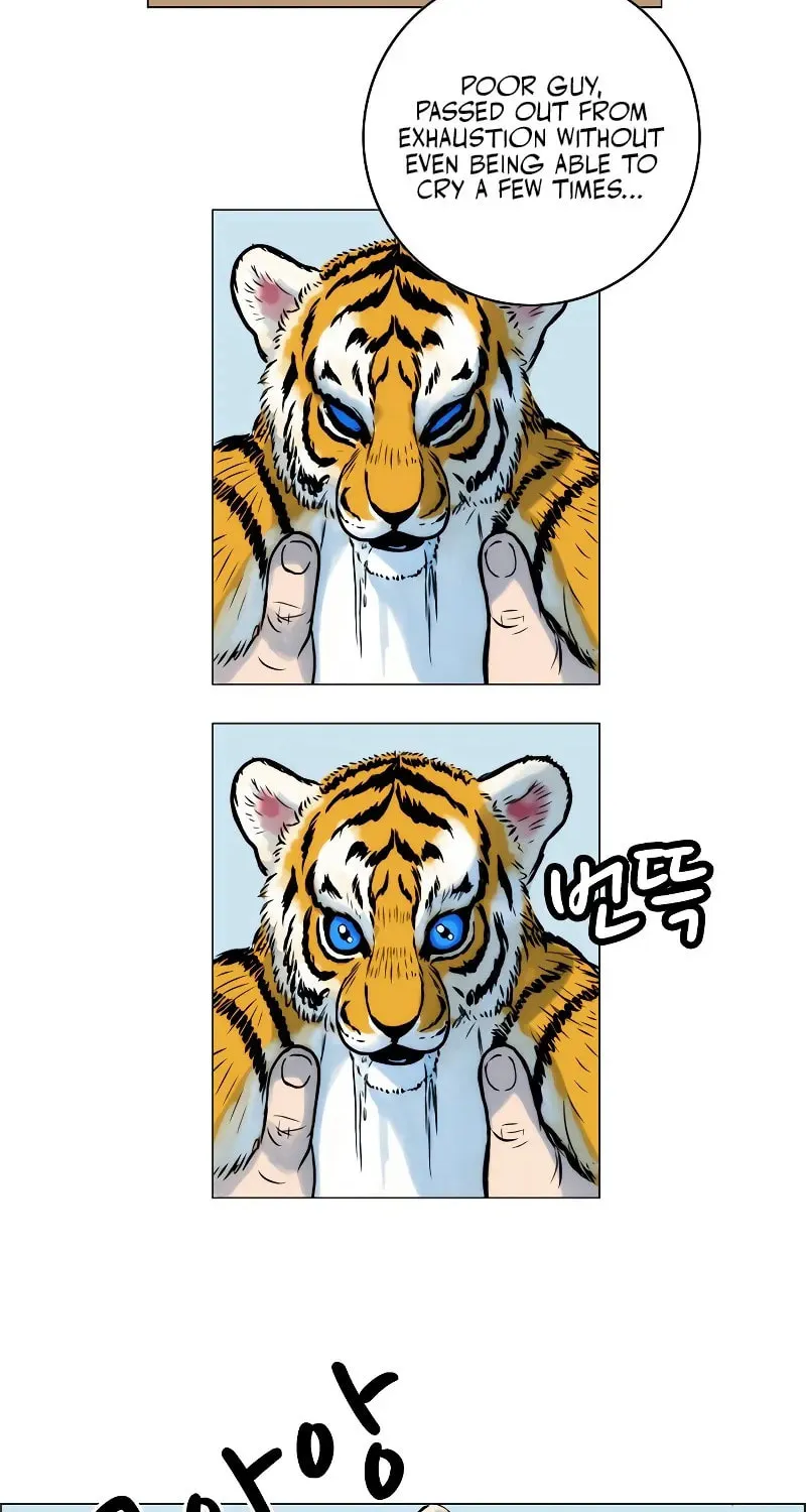 Tiger Brother - Barkhan Chapter 8 page 23 - 
