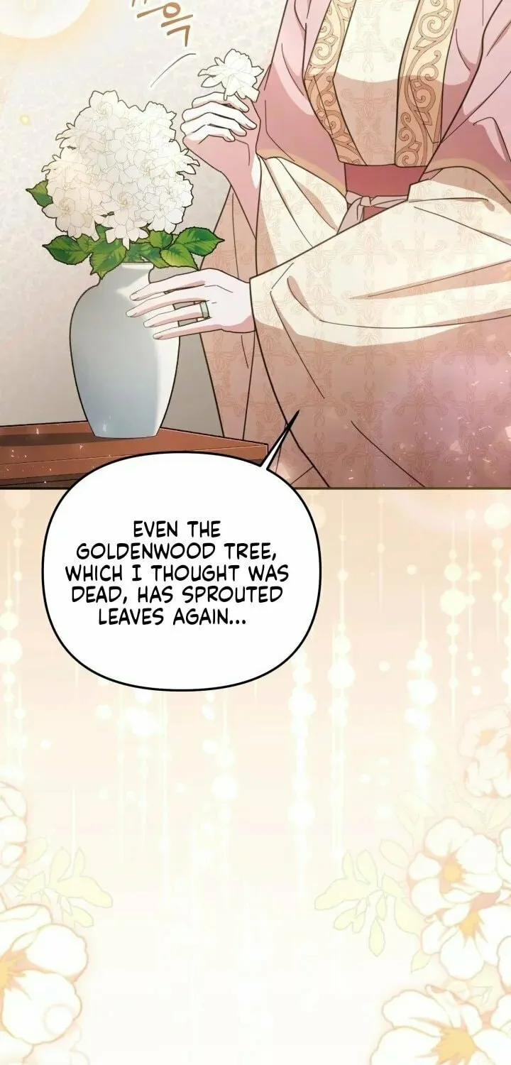 Time Limited Elixir of the Fallen Sega Chapter 2 page 38 - 