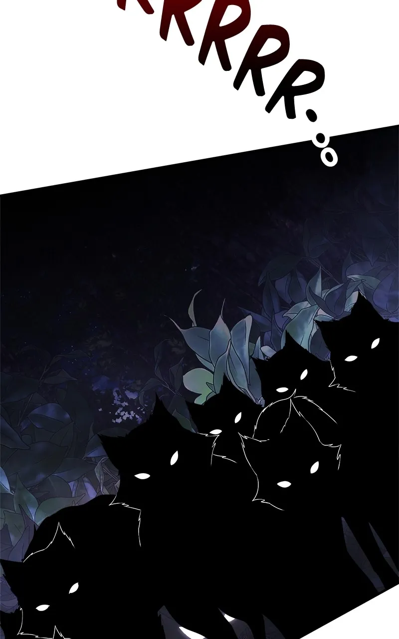 Time-Limited Genius Dark Knight Chapter 11 page 143 - 