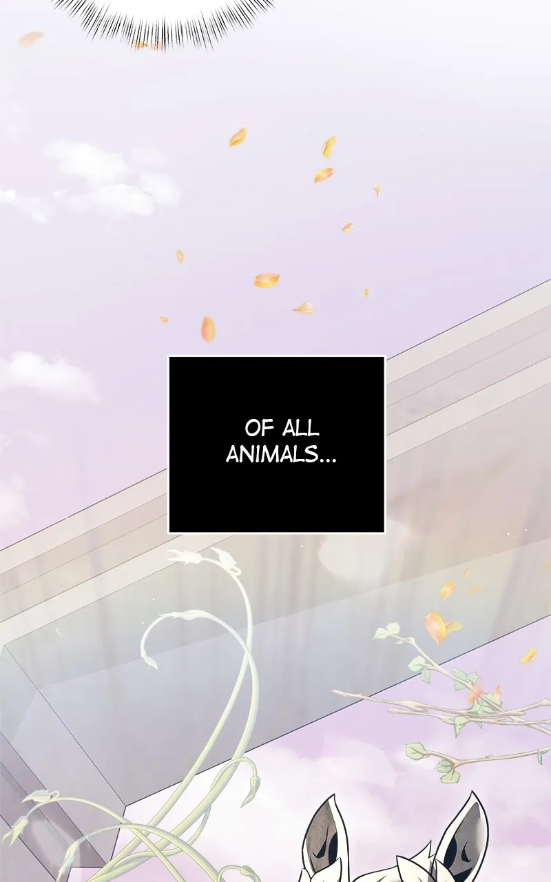 Time-Limited Genius Dark Knight Chapter 9 page 43 - 
