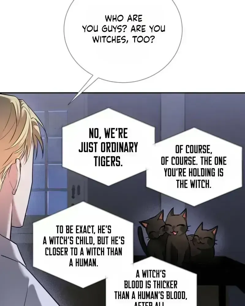 Tinder Box Chapter 1.9 page 72 - 