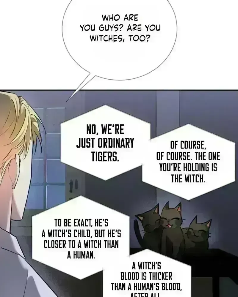Tinder Box Chapter 4.3 page 72 - 