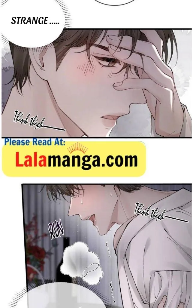 Tit For Tat Chapter 17 page 36 - 
