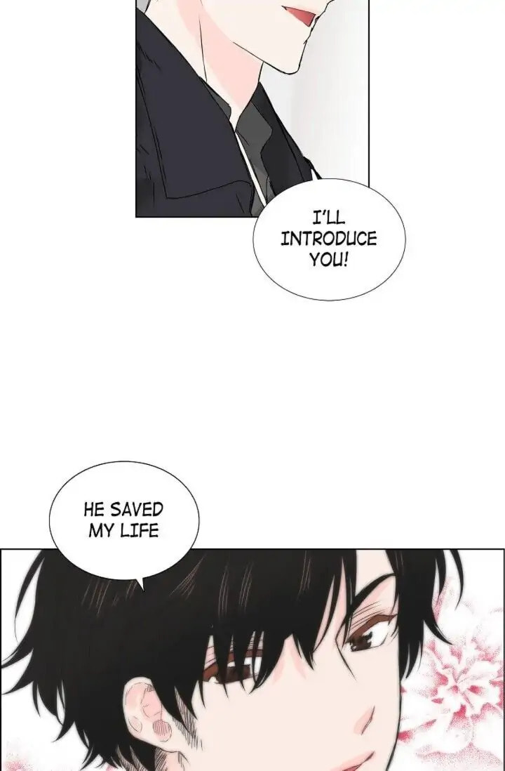 To Catch a Falling Star Chapter 11 page 46 - 