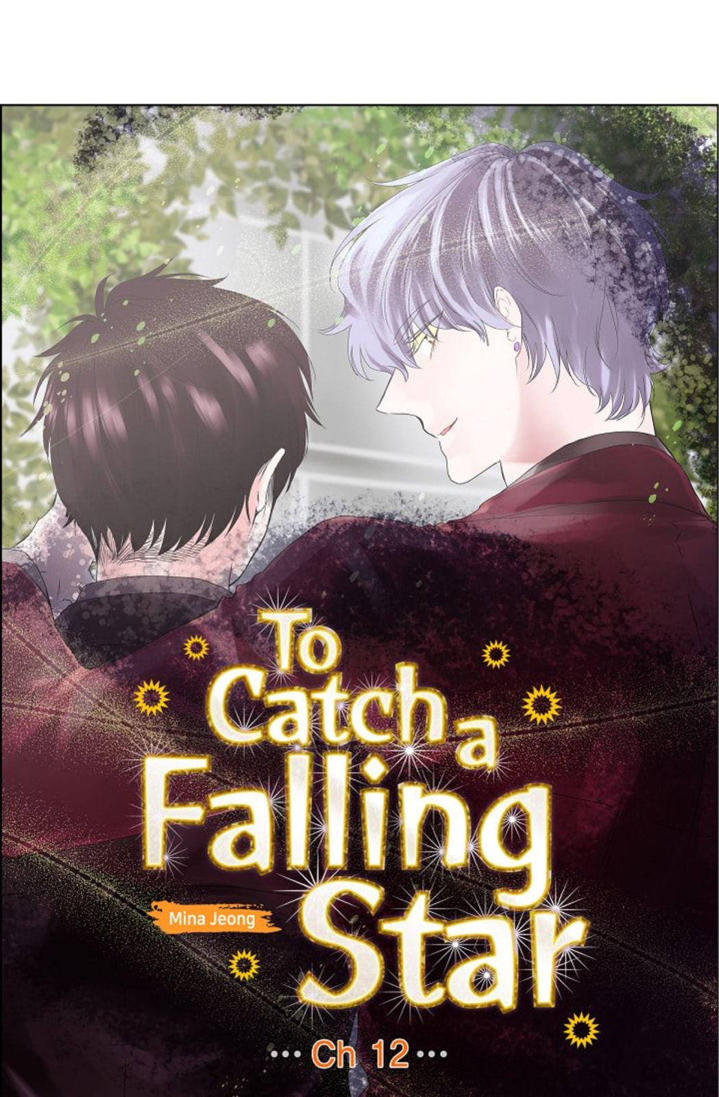 To Catch a Falling Star Chapter 12 page 9 - 