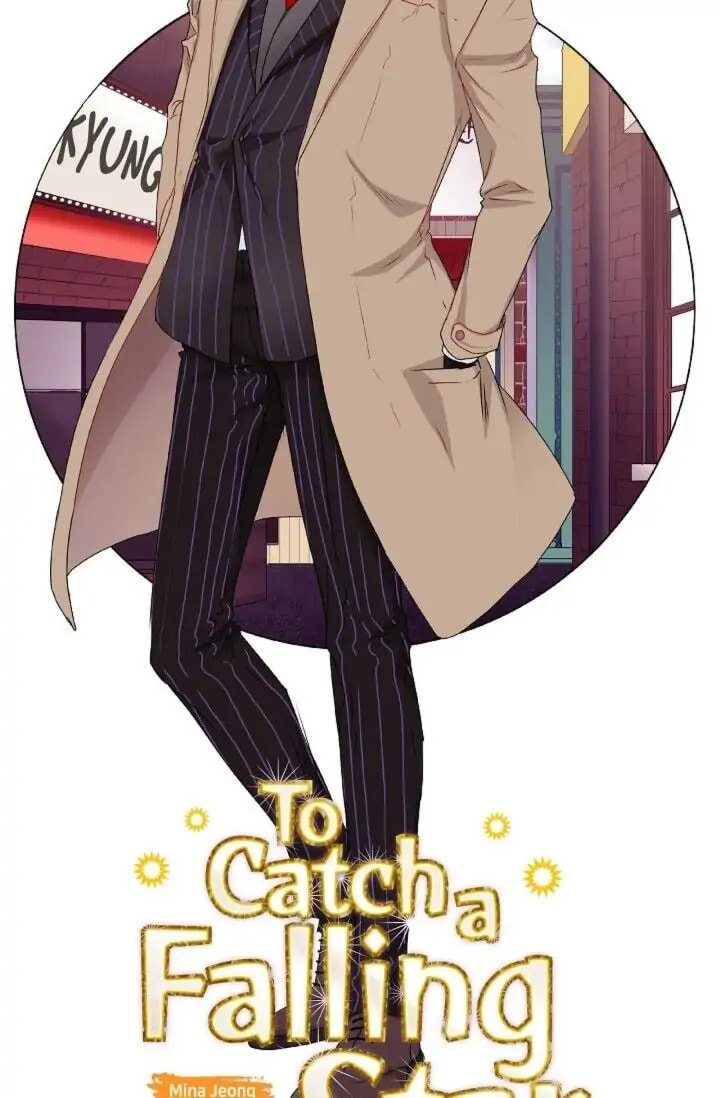 To Catch a Falling Star Chapter 29 page 9 - 
