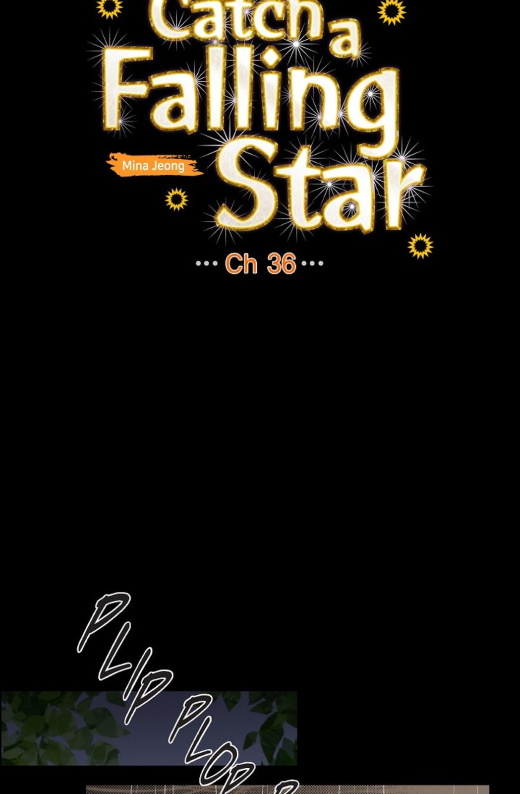 To Catch a Falling Star Chapter 36 page 17 - 
