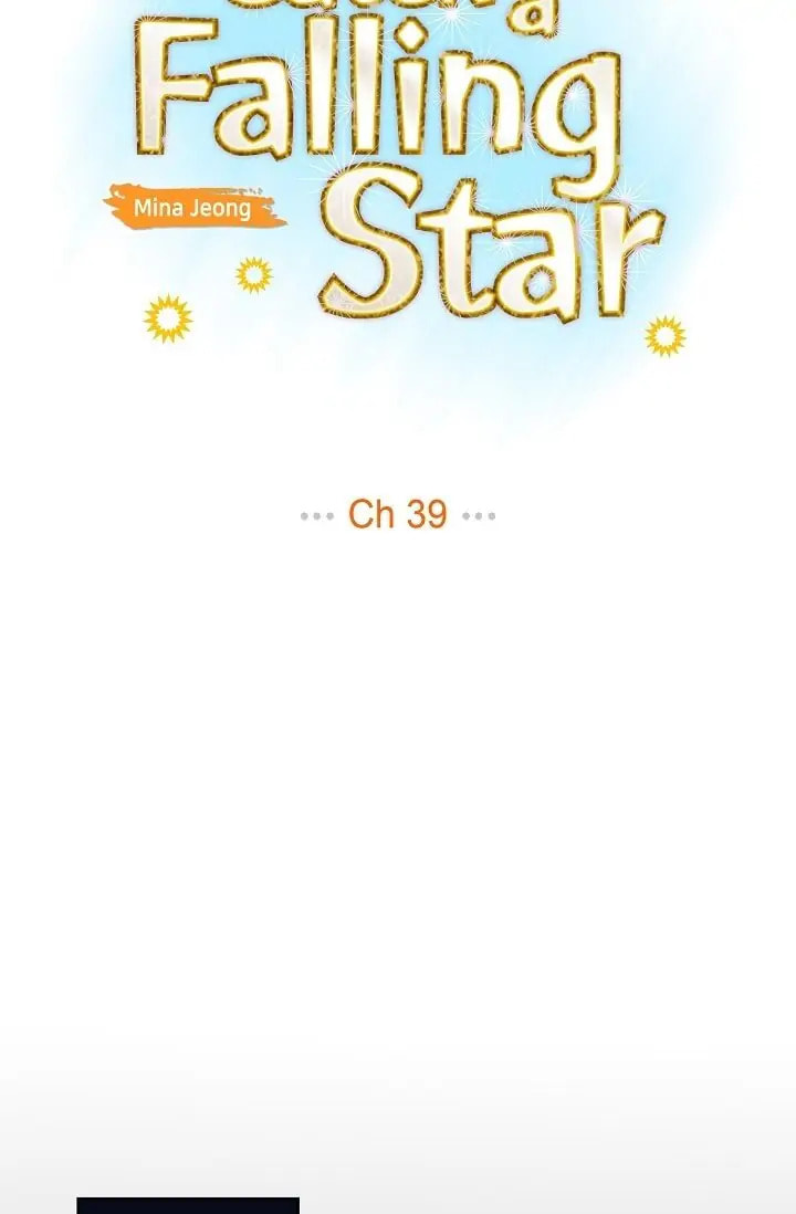To Catch a Falling Star Chapter 39 page 10 - 