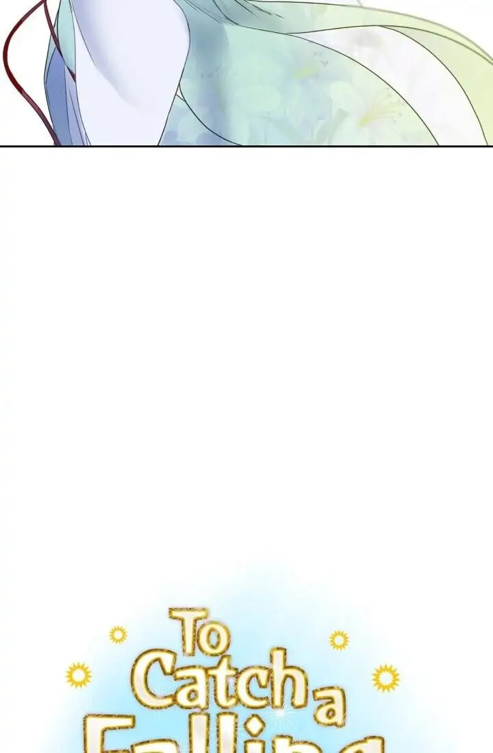 To Catch a Falling Star Chapter 43 page 12 - 