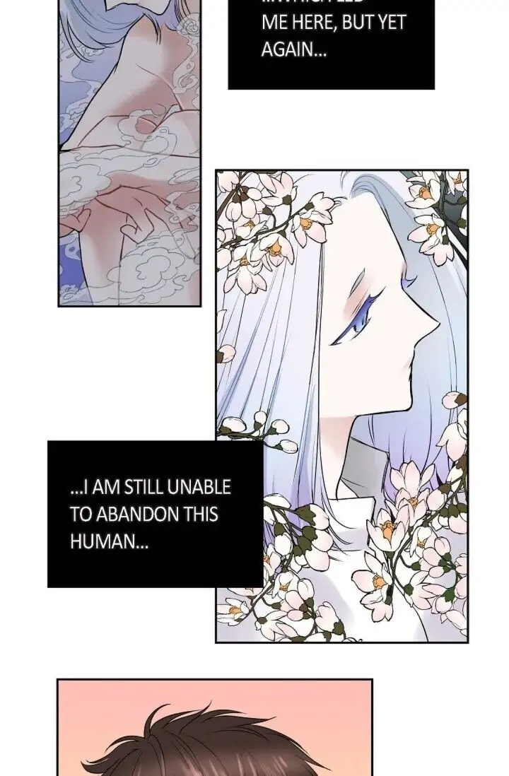 To Catch a Falling Star Chapter 43 page 29 - 