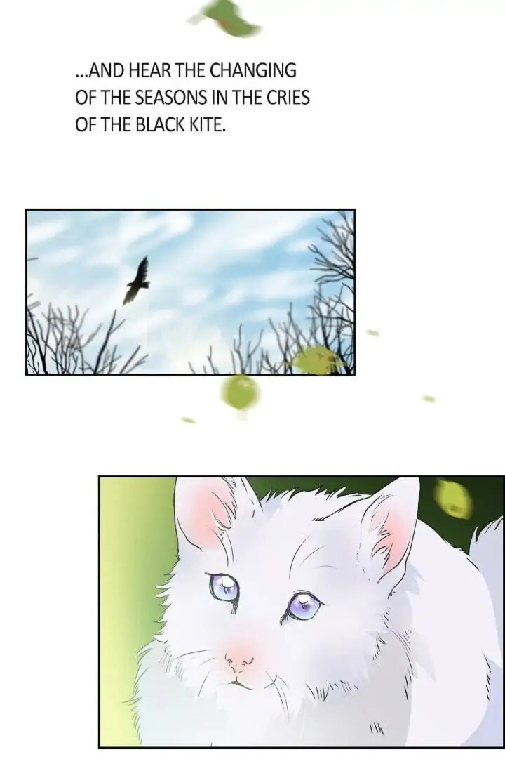 To Catch a Falling Star Chapter 43 page 10 - 