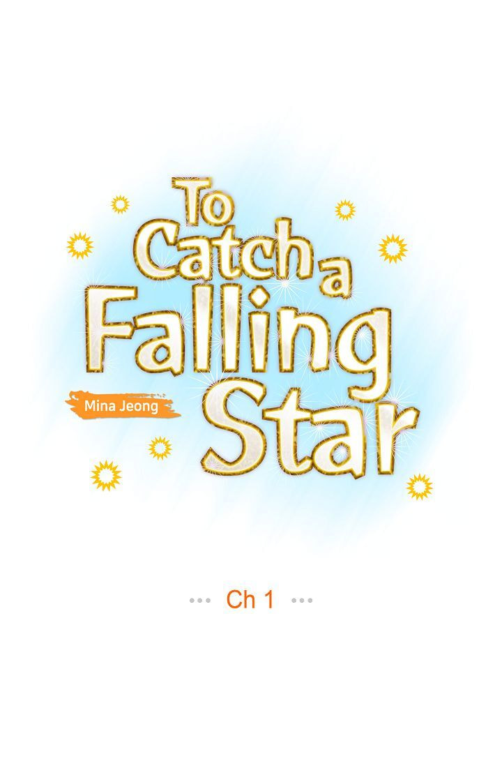 To Catch a Falling Star Chapter 1 page 18 - 