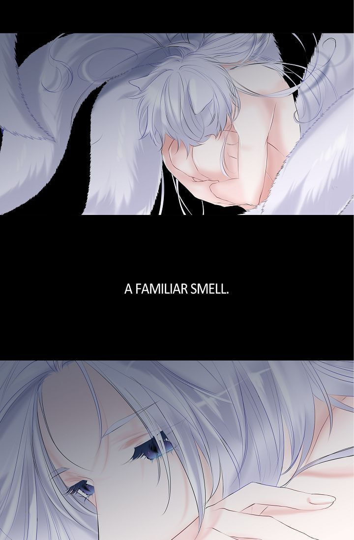 To Catch a Falling Star Chapter 1 page 46 - 