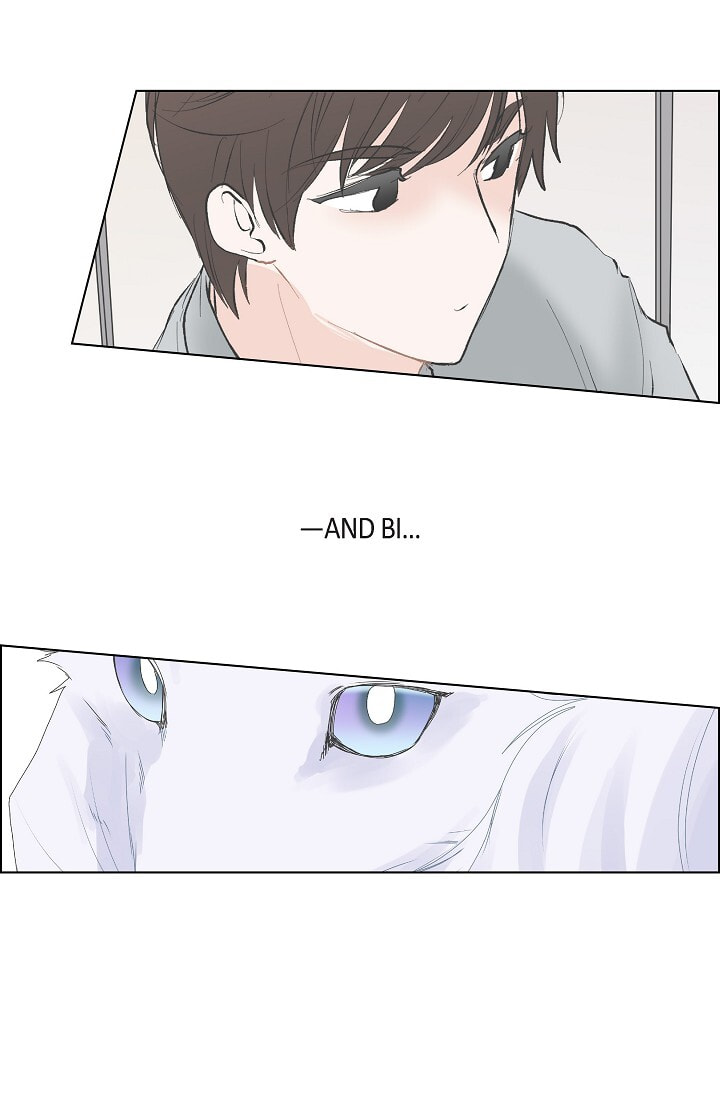 To Catch a Falling Star Chapter 26 page 37 - 