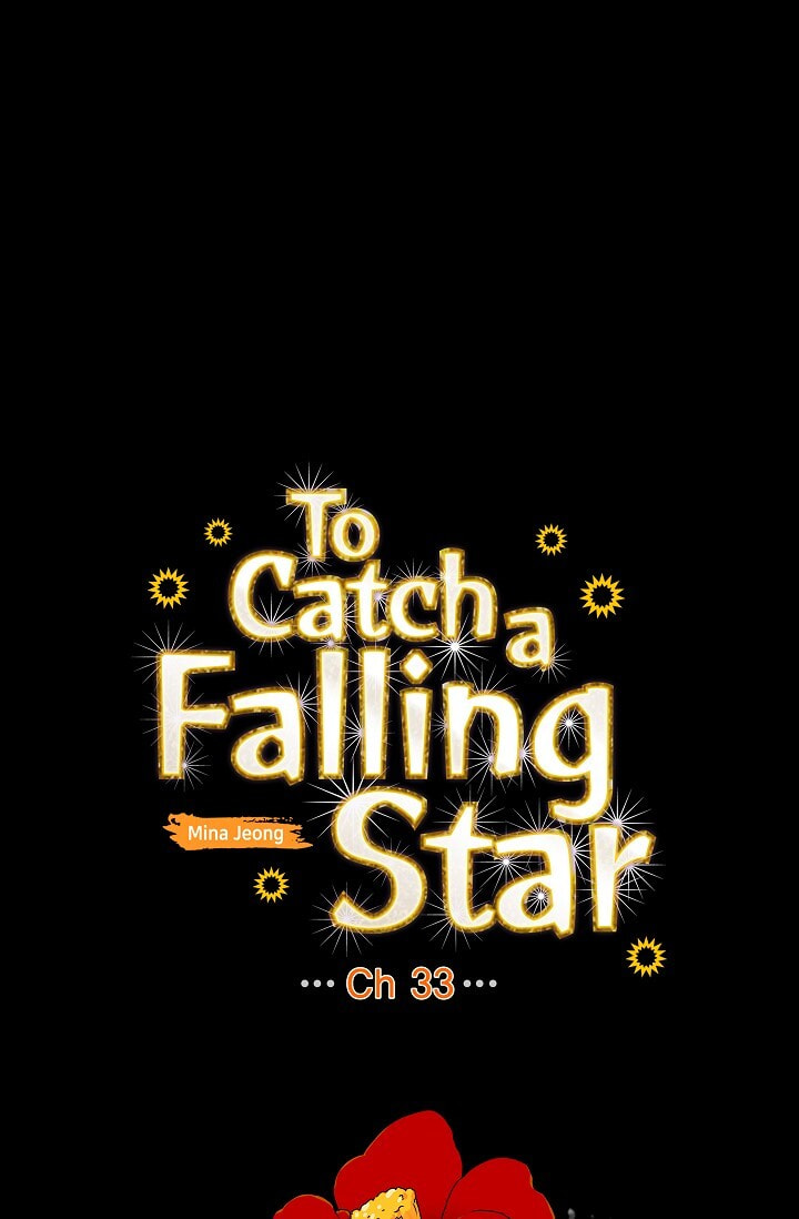 To Catch a Falling Star Chapter 33 page 41 - 