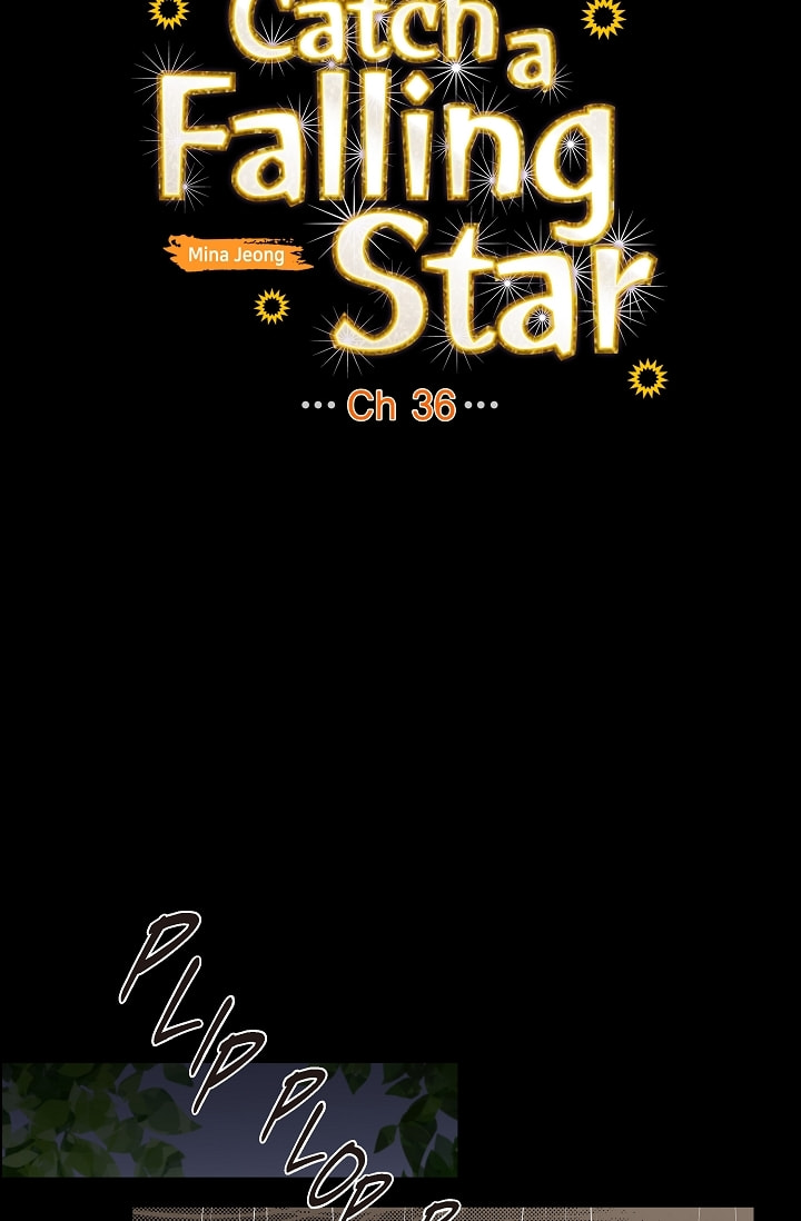 To Catch a Falling Star Chapter 36 page 17 - 