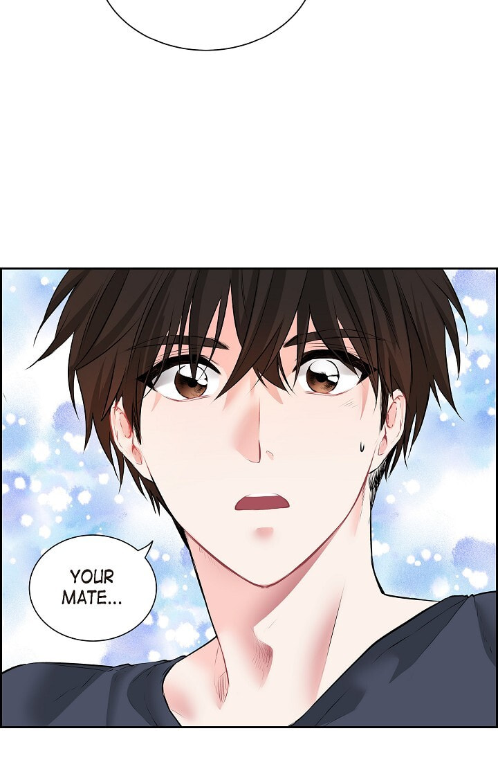 To Catch a Falling Star Chapter 45.5 page 13 - 
