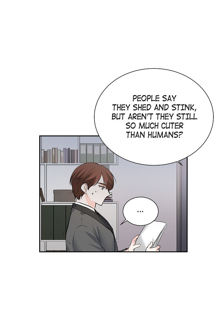 To Catch a Falling Star Chapter 45.6 page 13 - 