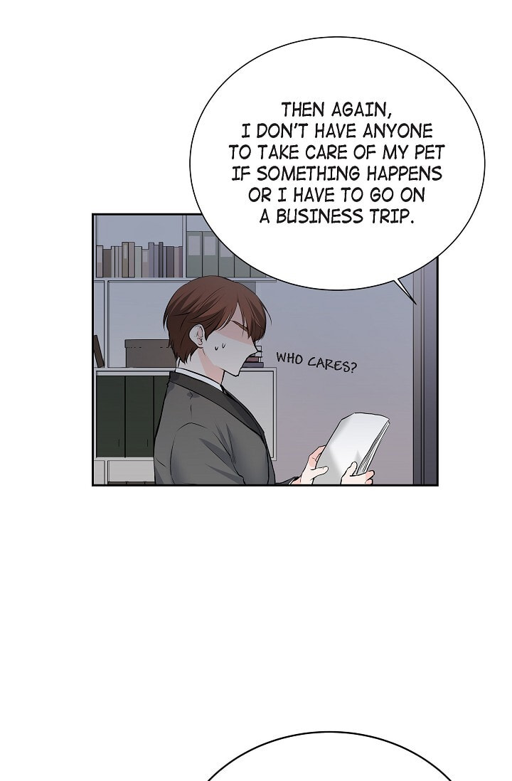 To Catch a Falling Star Chapter 45.6 page 14 - 