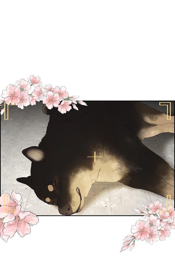 To Catch a Falling Star Chapter 45.6 page 8 - 