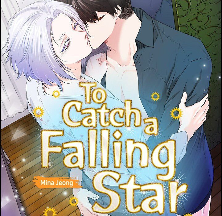 To Catch a Falling Star Chapter 46 page 17 - 