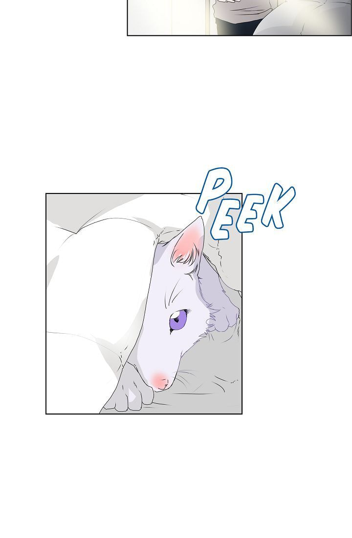 To Catch a Falling Star Chapter 7 page 17 - 