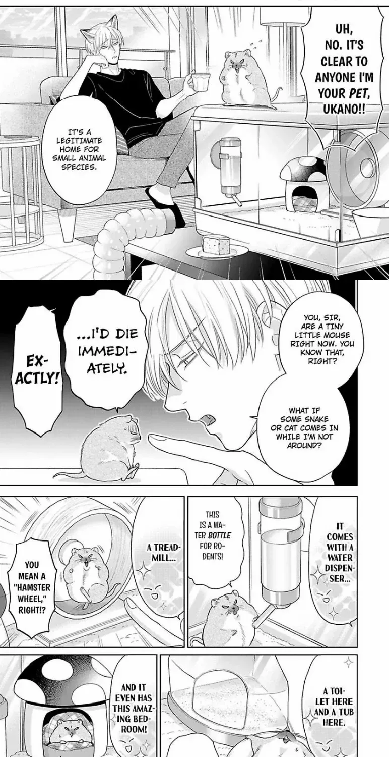 To Make A Delicious Omega Squeak Chapter 10 page 18 - 
