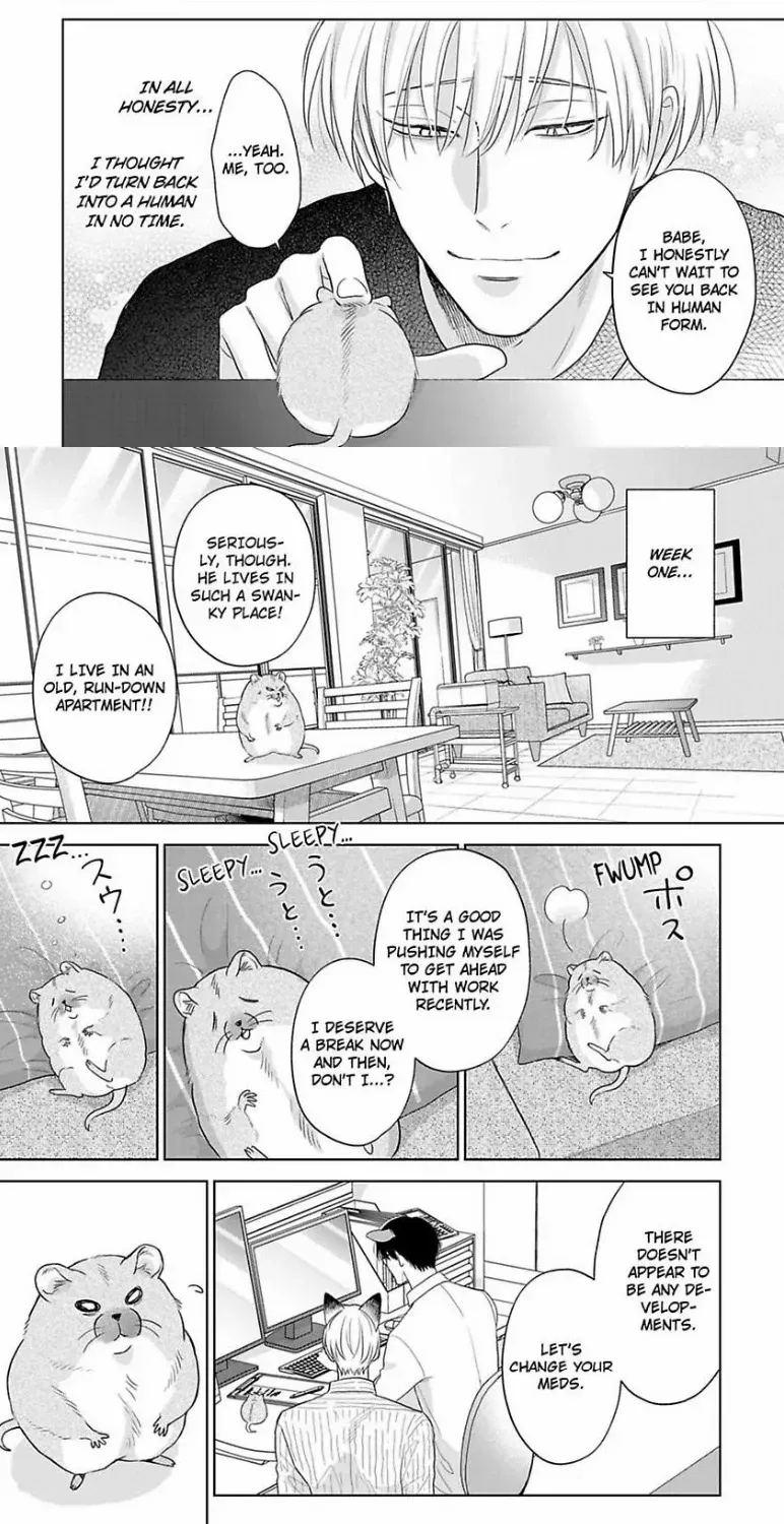 To Make A Delicious Omega Squeak Chapter 10 page 20 - 