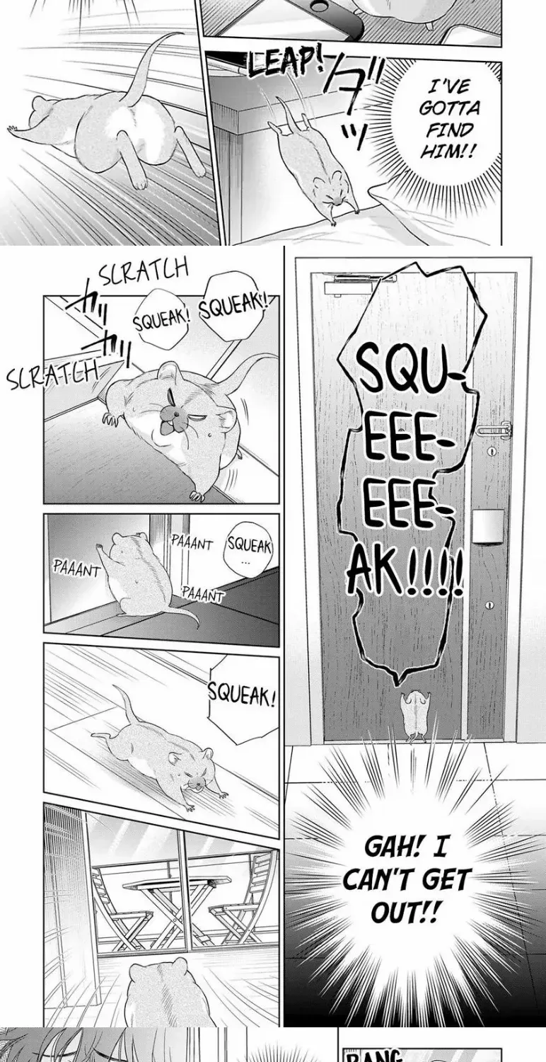 To Make A Delicious Omega Squeak Chapter 10 page 41 - 